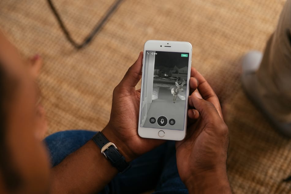 Chetek WI security system